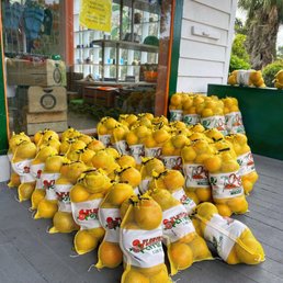 5 lb bags of grapefruits 5 lb bags of grapefruits