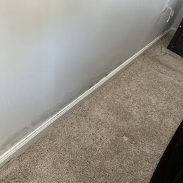 Mold and water damage on the walls. Mold and water damage on the walls.