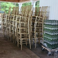 130 gold chairs with cushions