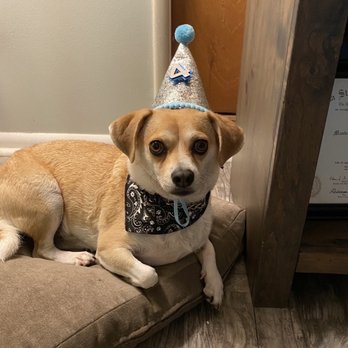 Happy Paws Dog Grooming - Pet Groomers Near Me - Monrovia, California Happy Paws Dog Grooming - Pet Groomers Near Me - Monrovia, California