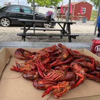 Twisted Tails Crawfish - a box of crawfish - Seafood Near Me - McKinney, Texas