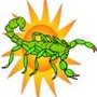 Photo of Arizona Bug Company