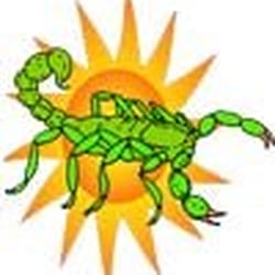 Arizona Bug Company