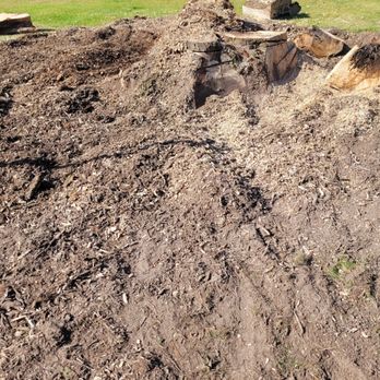 Carter's Stump Grinding - Tree Services Near Me