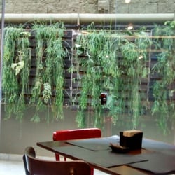 Beggiato Restaurante - Uma das mesas do lado interno, com as plantas