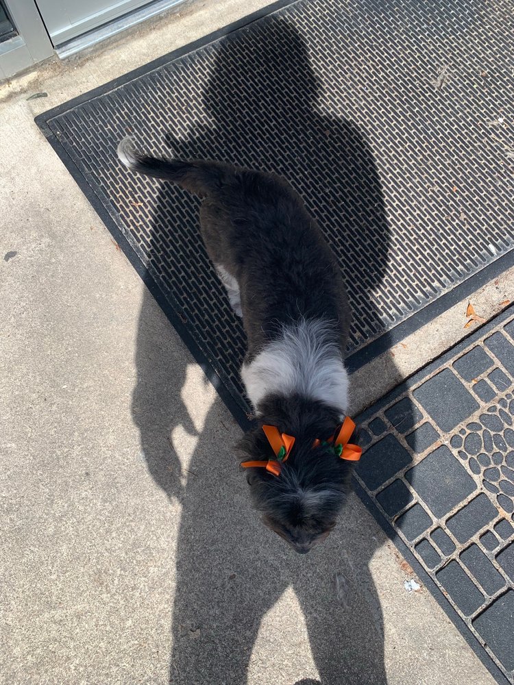 THE PINK POODLE Updated October 2024 10 Photos & 13 Reviews 3048