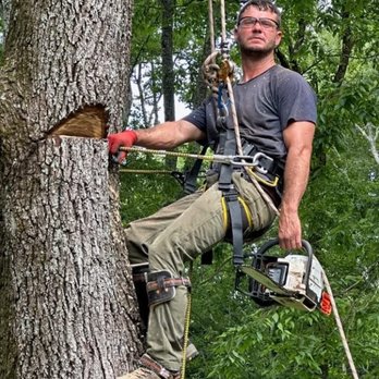 Green Tree Service - Tree Surgeon - Tree Services Near Me - Nashville, Tennessee Green Tree Service - Tree Surgeon - Tree Services Near Me - Nashville, Tennessee