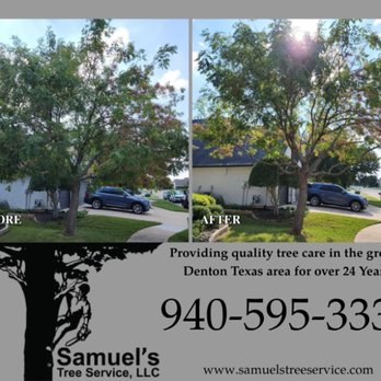 Samuel's Tree Service - Before and After Tree Trimming Denton TX - Tree Services Near Me - Denton, Texas Samuel's Tree Service - Before and After Tree Trimming Denton TX - Tree Services Near Me - Denton, Texas