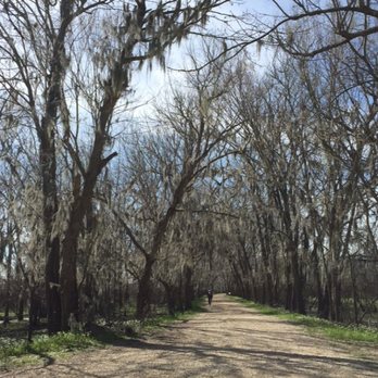 Brazos Bend State Park - Spacious trails - Parks Near Me - Needville, Texas Brazos Bend State Park - Spacious trails - Parks Near Me - Needville, Texas