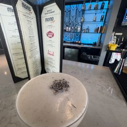 The Momo Lounge
