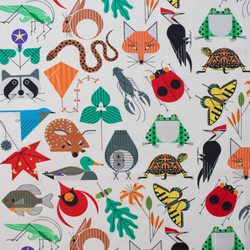 Bakery Fabrics