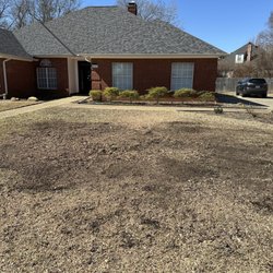 Whitehouse Gardens Tree Service - Large tree removed & stump ground