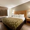 Wingate by Wyndham New Castle - Glenwood Springs gift card
