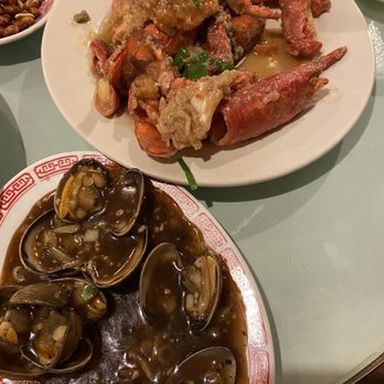 Chinese Imperial Inn - Twin lobsters (ginger and scallion sauce), black bean clams - Chinese Near Me - Cincinnati, Ohio Chinese Imperial Inn - Twin lobsters (ginger and scallion sauce), black bean clams - Chinese Near Me - Cincinnati, Ohio