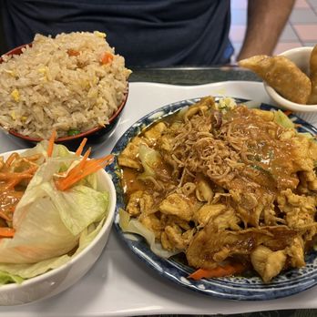 Thai Station - Everything from the lunch menu -soup not pictured - A meal featuring stir-fried chicken with vegetables, fried rice, a side salad, and two fried dumplings, served on a tray at a restaurant. - Thai Near Me - Payson, Arizona