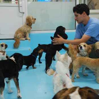 Biscuits & Bath - Murray Hill - Pet Groomers Near Me - New York, New York Biscuits & Bath - Murray Hill - Pet Groomers Near Me - New York, New York