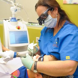 Enchanted Forest Pediatric Dentistry