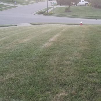 Kapp's Green Lawn - a red fire hydrant - Landscaping Near Me - Macedonia, Ohio