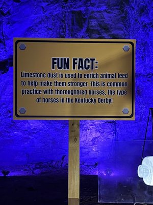 Louisville Mega Cavern by null