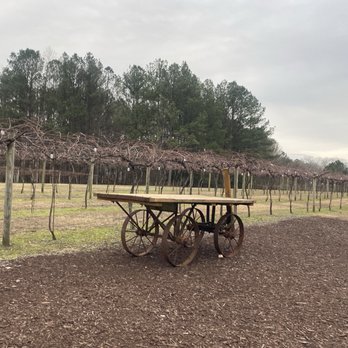 Qualusi Vineyard - Wine Tasting Room Near Me - Acworth, Georgia Qualusi Vineyard - Wine Tasting Room Near Me - Acworth, Georgia