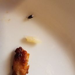 Had a friend come to dinner. Had a friend come to dinner.