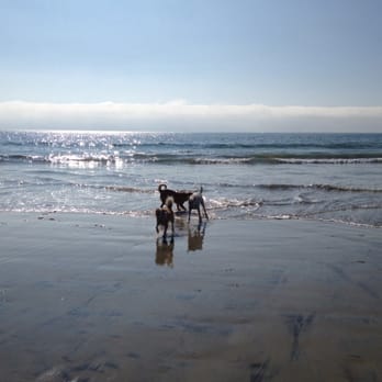 Coronado Dog Beach - Beaches Near Me - Coronado, California Coronado Dog Beach - Beaches Near Me - Coronado, California