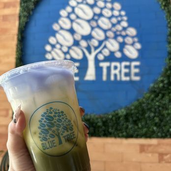Bluetree Cafe - Kaka'ako - Coffee & Tea Near Me - Honolulu, Hawaii