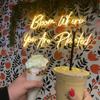 Bloom Ice Cream + Coffee - Cheers - Coffee & Tea Near Me - Lake Elsinore, California Bloom Ice Cream + Coffee - Cheers - Coffee & Tea Near Me - Lake Elsinore, California
