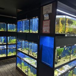 The Reef Aquarium Shop