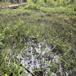 Reed Creek Interpretive Center