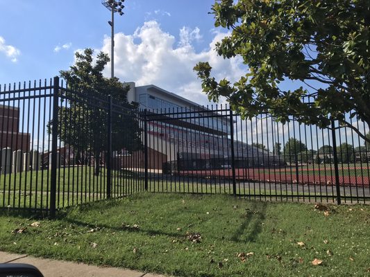 Austin Peay State University by null