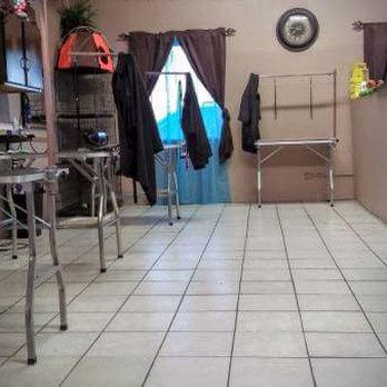 Doggie Style Grooming Salon - Doggie Style Grooming Salon is the place for your furry family member... Give us a try, you won't regret it... - Pet Groomers Near Me - El Paso, Texas Doggie Style Grooming Salon - Doggie Style Grooming Salon is the place for your furry family member... Give us a try, you won't regret it... - Pet Groomers Near Me - El Paso, Texas
