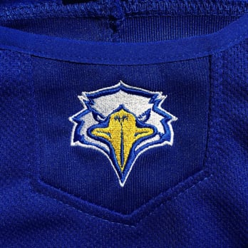 Team 3 Screen Printing & Embroidery - Embroidered St. Peters Eagle design. - Customized Merchandise Near Me - Staten Island, New York Team 3 Screen Printing & Embroidery - Embroidered St. Peters Eagle design. - Customized Merchandise Near Me - Staten Island, New York