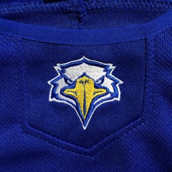 Team 3 Screen Printing & Embroidery - Embroidered St. Peters Eagle design.
