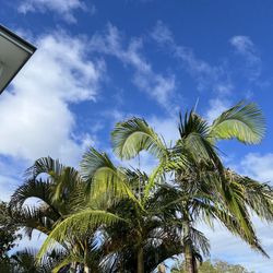 Aloha Villas Byron Bay - Views out every window!