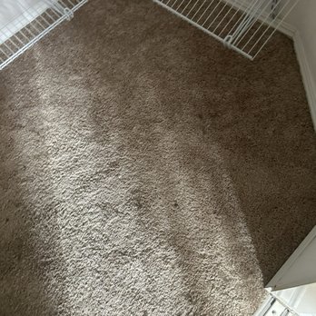 Maximum Mortgage & Real Estate, Inc. - Cat urine and stained carpet - Real Estate Services Near Me - Oceanside, California Maximum Mortgage & Real Estate, Inc. - Cat urine and stained carpet - Real Estate Services Near Me - Oceanside, California