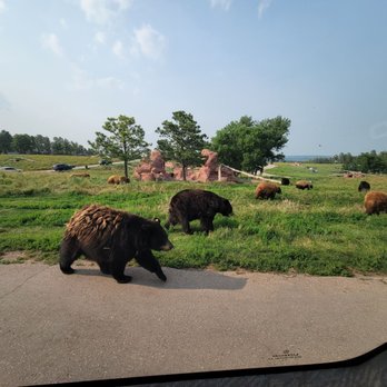 Bear Country USA - Zoos Near Me - Rapid City, South Dakota