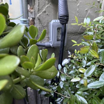 Boyes Electric - Needed some plugs outside for holiday lights! - Electricians Near Me - Oakland, California