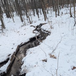 Kensington Metropark