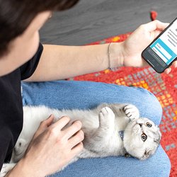 VCA Animal Hospitals Urgent Care - Mira Mesa