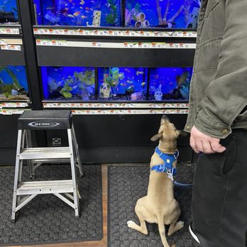 Pet Supplies Plus Canal Winchester - Pet Stores Near Me - Canal Winchester, Ohio Pet Supplies Plus Canal Winchester - Pet Stores Near Me - Canal Winchester, Ohio