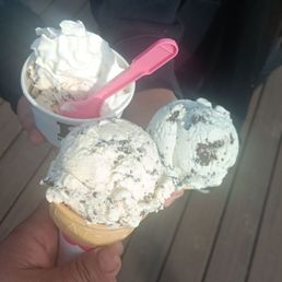 Mint Chip Ice Cream