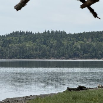 Chapman Cove - Lakes Near Me - Shelton, Washington Chapman Cove - Lakes Near Me - Shelton, Washington