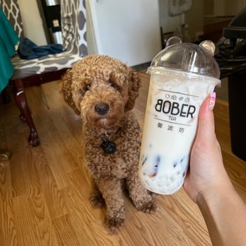 Bober Tea & Coffee - Boba, winter melon, Chewie - Bubble Tea Near Me - Folsom, California