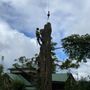 Photo of Bob's Tree & Stump Service