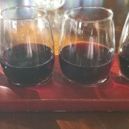 Vine tasting Vine tasting