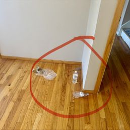Personal Trash left by movers Personal Trash left by movers