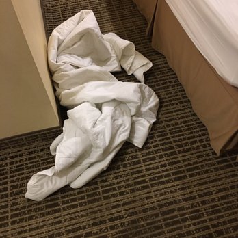 Quality Inn - How about actually cleaning the room? - Hotels Near Me - Greeneville, Tennessee
