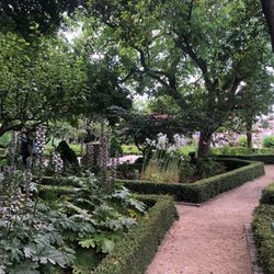 Huerto de Calixto y Melibea - Garden interior.