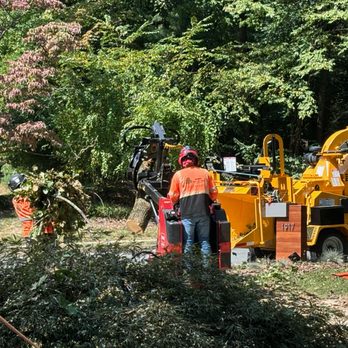 Green Tree Services - Tree Services Near Me - Warrenton, Virginia Green Tree Services - Tree Services Near Me - Warrenton, Virginia